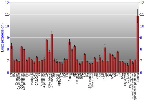 Expression graph