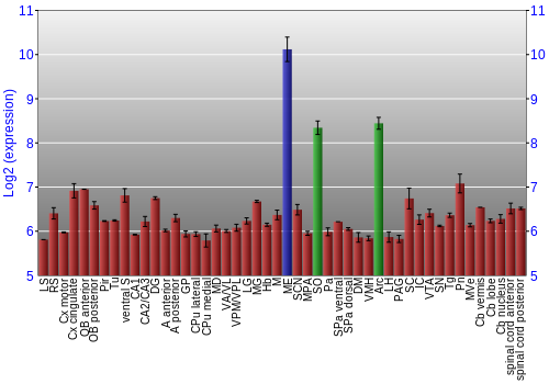 Multi-state expression graph