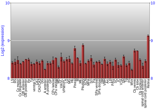 Expression graph