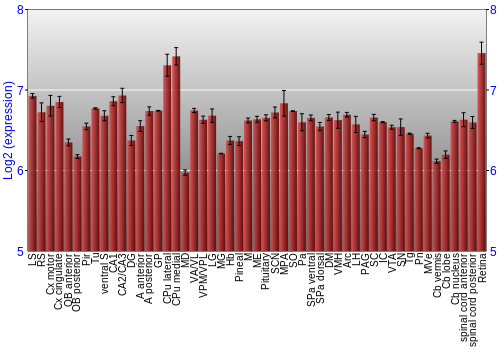 Expression graph