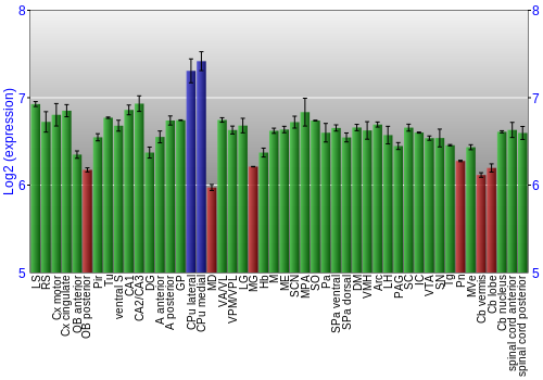 Multi-state expression graph