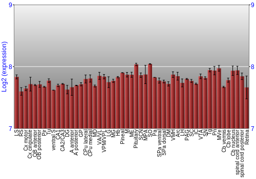 Expression graph