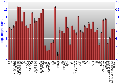 Expression graph