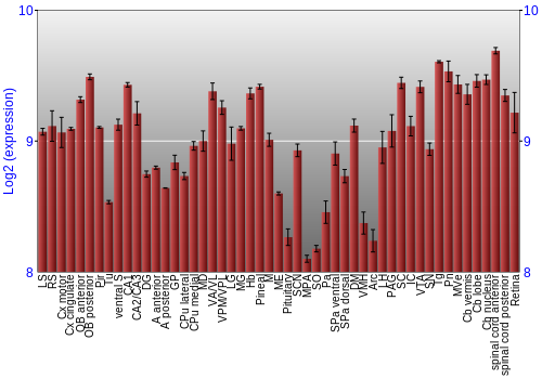 Expression graph