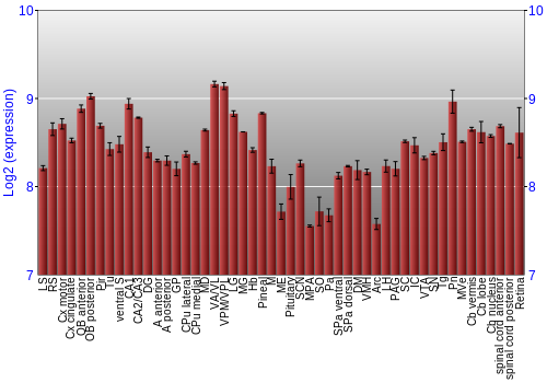 Expression graph