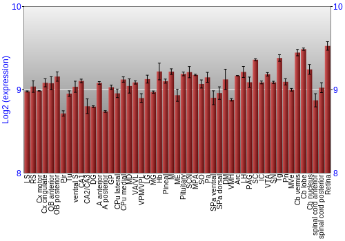 Expression graph