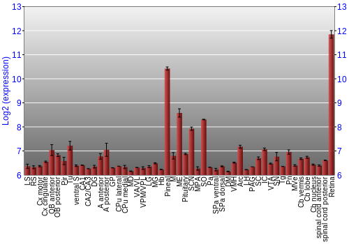 Expression graph