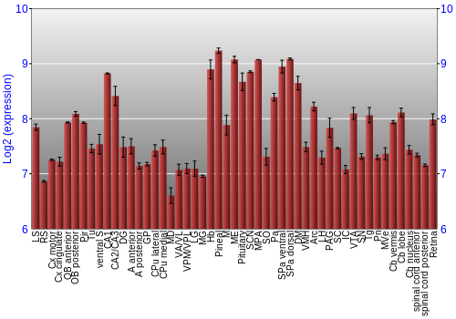 Expression graph