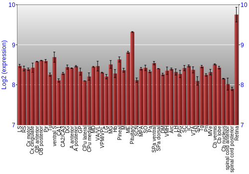 Expression graph
