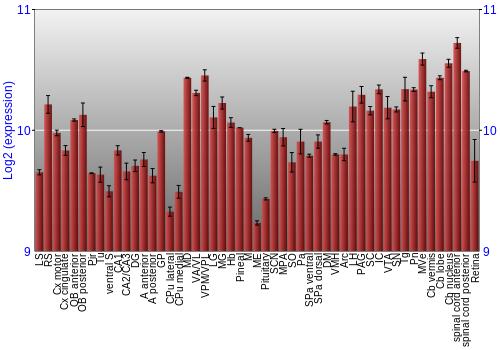 Expression graph