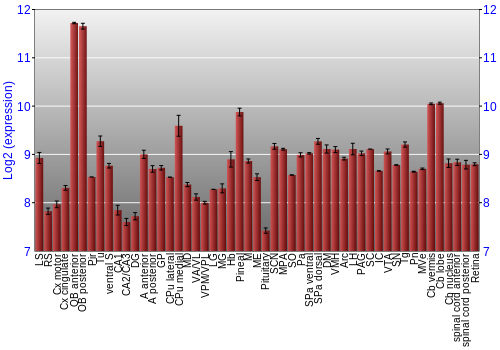 Expression graph