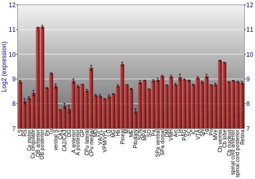 Expression graph