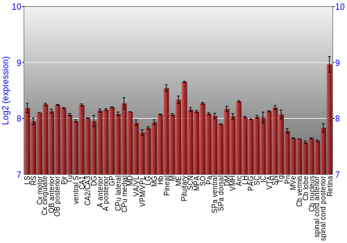 Expression graph