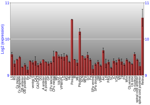 Expression graph