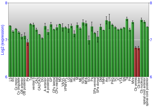 Multi-state expression graph