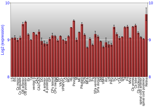 Expression graph