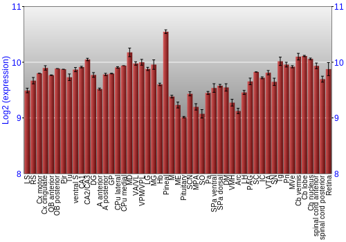 Expression graph