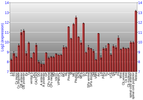 Expression graph