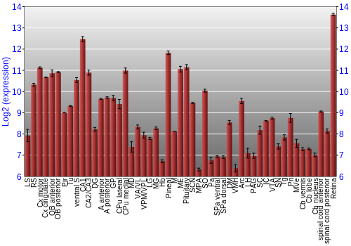 Expression graph