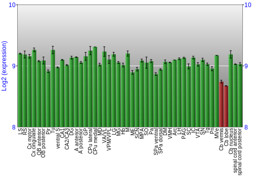 Multi-state expression graph