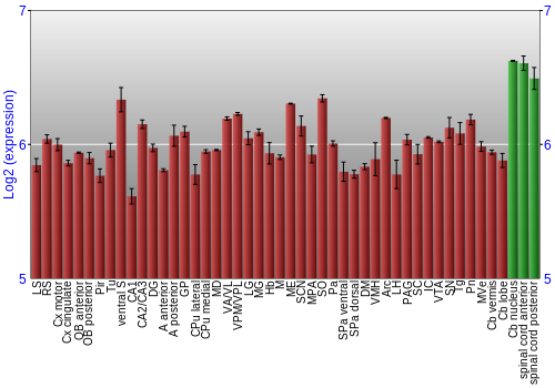 Multi-state expression graph