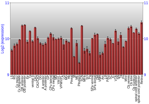 Expression graph