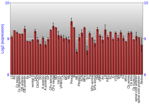 Expression graph