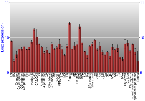 Expression graph