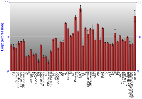 Expression graph