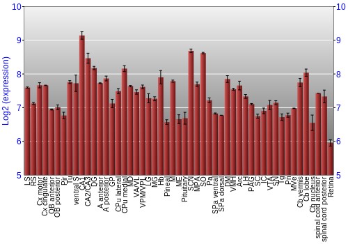 Expression graph