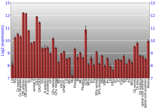 Expression graph