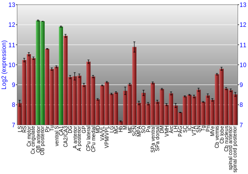 Multi-state expression graph