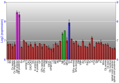 Multi-state expression graph