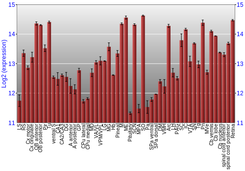 Expression graph