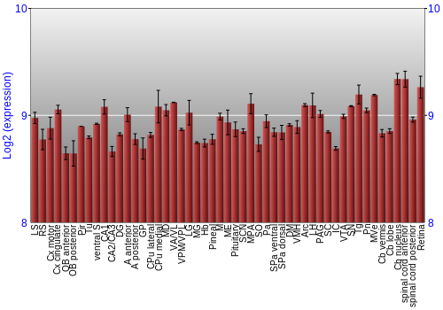 Expression graph
