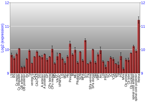Expression graph