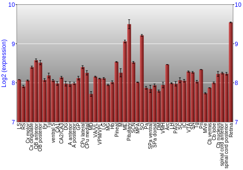 Expression graph