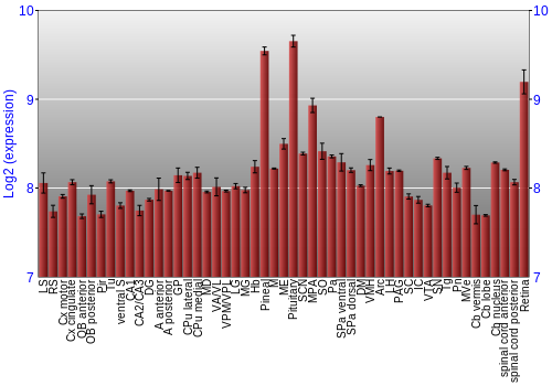 Expression graph