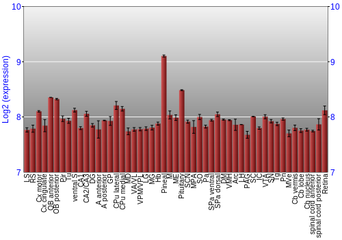 Expression graph