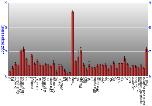 Expression graph