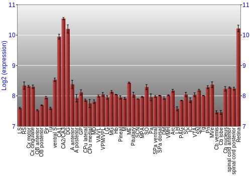 Expression graph