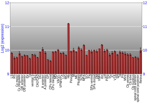 Expression graph
