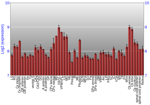 Expression graph