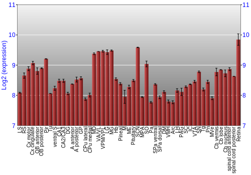Expression graph