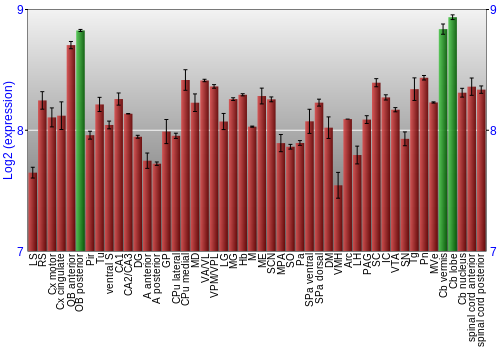 Multi-state expression graph