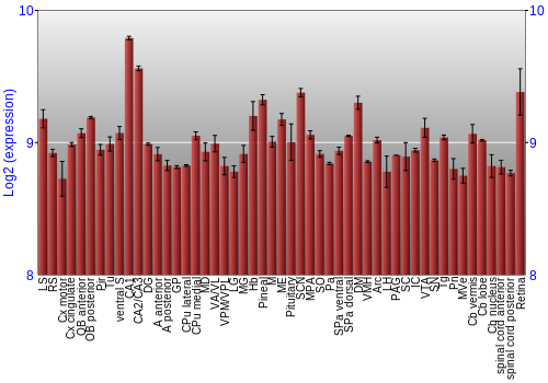 Expression graph