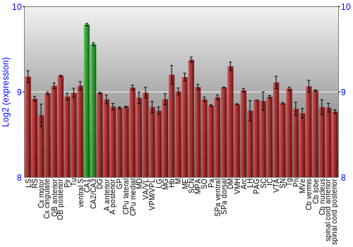 Multi-state expression graph