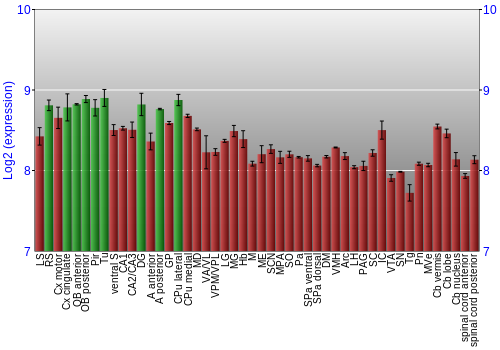 Multi-state expression graph