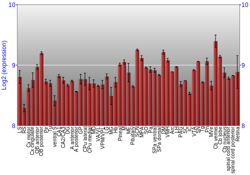 Expression graph