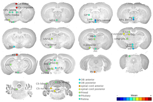 Expression map